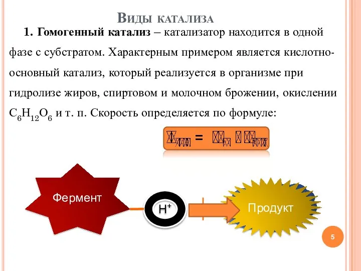 1. Гомогенный катализ – катализатор находится в одной фазе с субстратом.