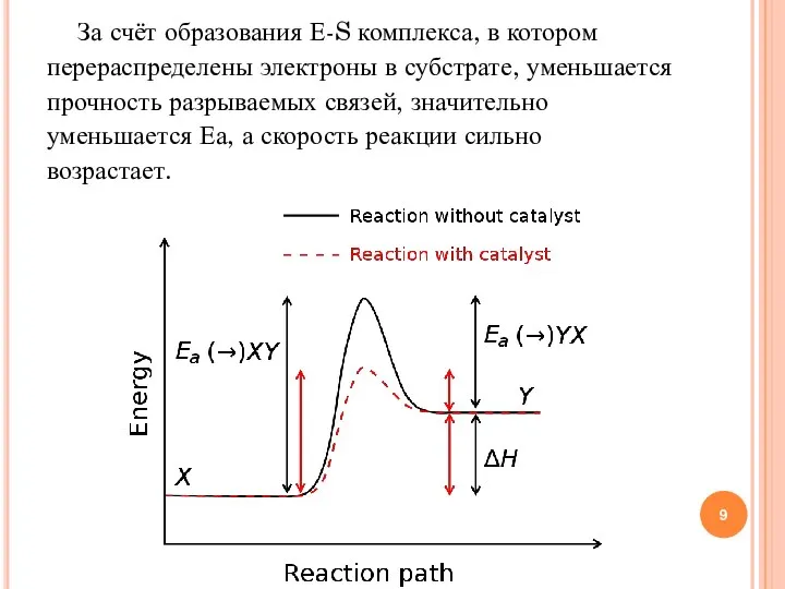 За счёт образования Е-S комплекса, в котором перераспределены электроны в субстрате,