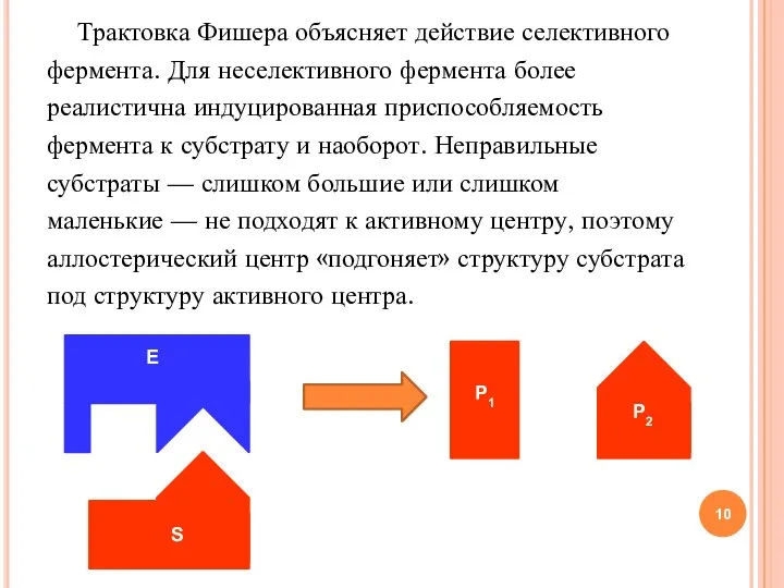 Трактовка Фишера объясняет действие селективного фермента. Для неселективного фермента более реалистична