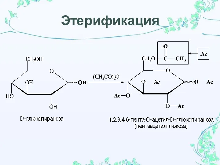 Этерификация