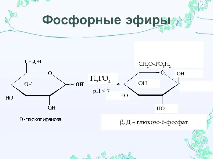 Фосфорные эфиры Н3РО4 HO HO OH OH β, Д – глюкозо-6-фосфат рН СН2О–РО3Н2