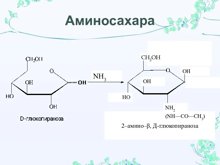 Аминосахара NH3 HO OH OH 2–амино–β, Д-глюкопираноза NH2 СН2ОН (NH—CO—CH3)