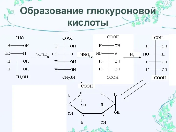 Образование глюкуроновой кислоты СООН СООН HNO3 H2 СООН СООН СОН