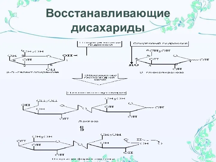 Восстанавливающие дисахариды