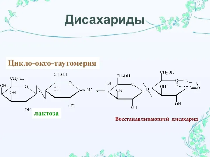 лактоза Цикло-оксо-таутомерия Восстанавливающий дисахарид Дисахариды