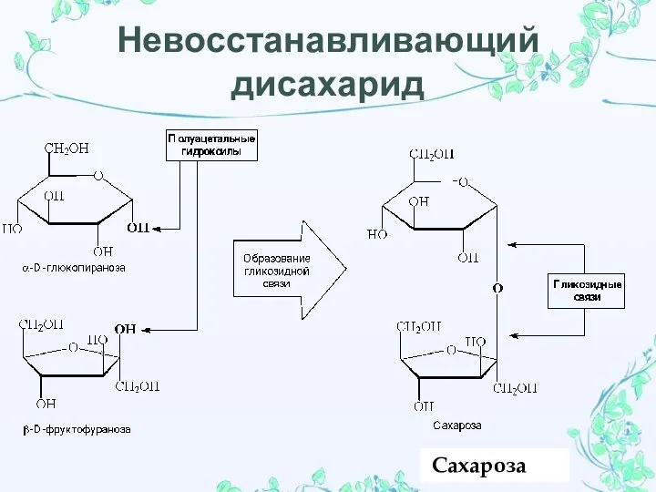 Невосстанавливающий дисахарид Сахароза