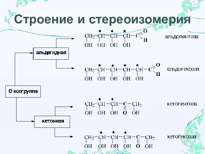 Строение и стереоизомерия