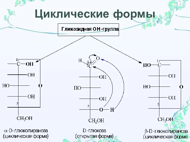 Циклические формы