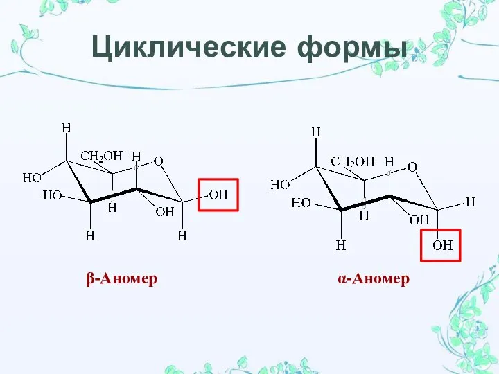 β-Аномер α-Аномер Циклические формы