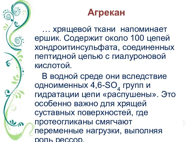 Агрекан … хрящевой ткани напоминает ершик. Содержит около 100 цепей хондроитинсульфата,