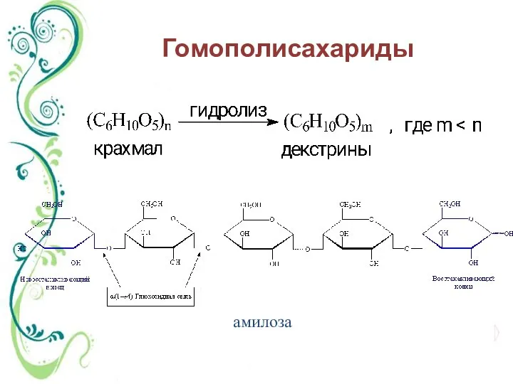 амилоза Гомополисахариды