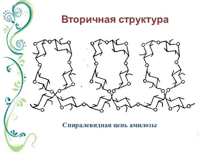 Спиралевидная цепь амилозы Вторичная структура