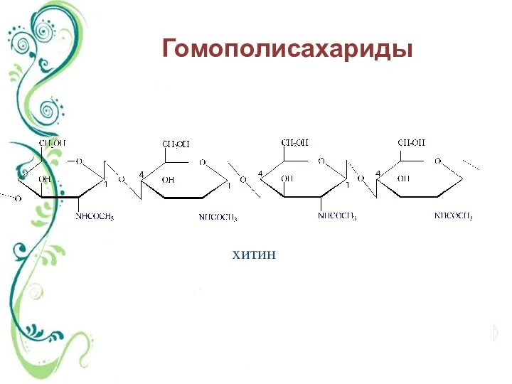 хитин Гомополисахариды