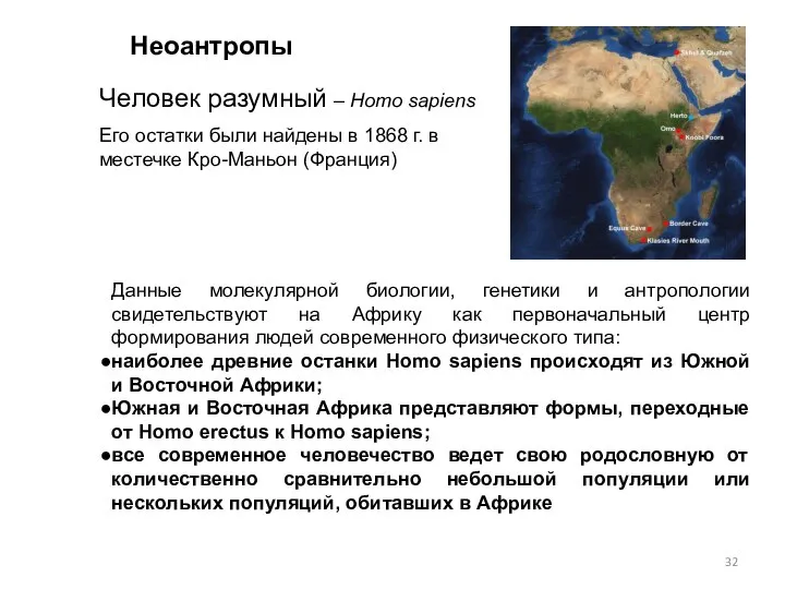 Человек разумный – Homo sapiens Его остатки были найдены в 1868