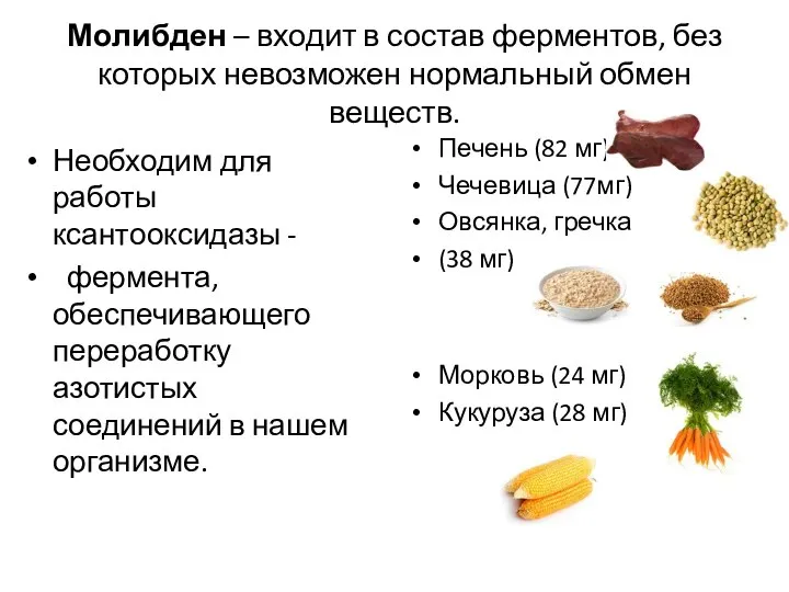 Молибден – входит в состав ферментов, без которых невозможен нормальный обмен