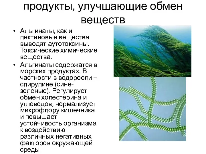 продукты, улучшающие обмен веществ Альгинаты, как и пектиновые вещества выводят аутотоксины.