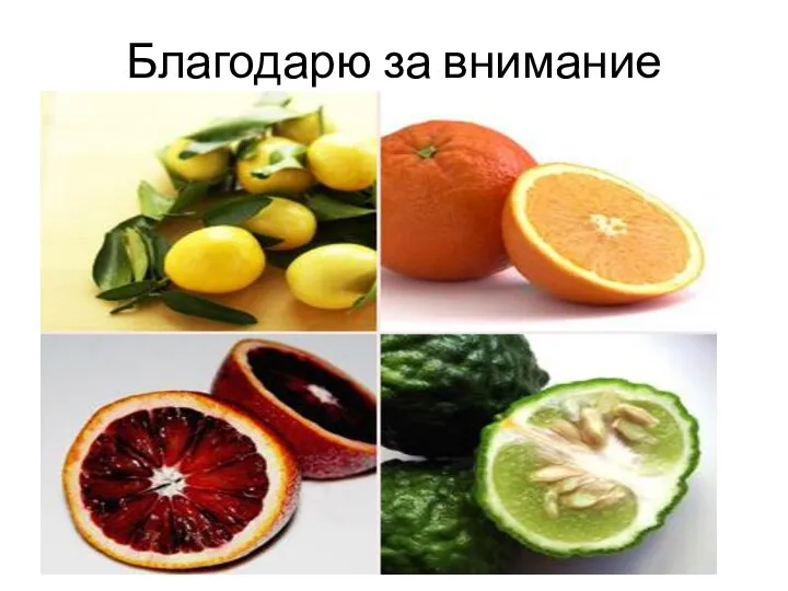 Благодарю за внимание