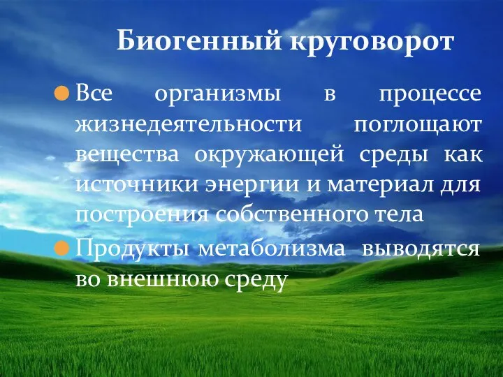 Биогенный круговорот Все организмы в процессе жизнедеятельности поглощают вещества окружающей среды