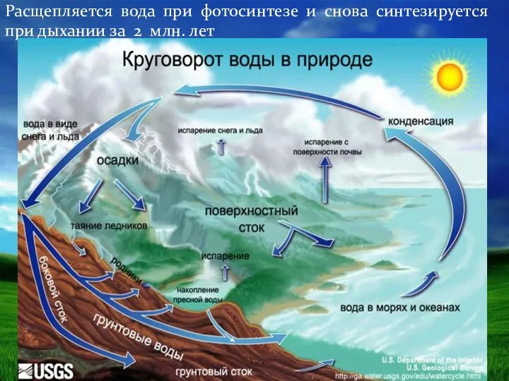 Расщепляется вода при фотосинтезе и снова синтезируется при дыхании за 2 млн. лет