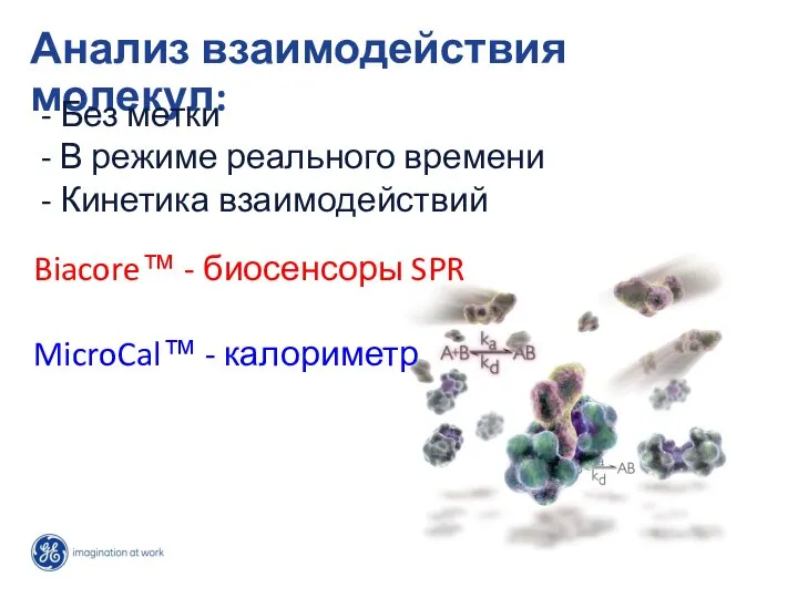 Biacore™ - биосенсоры SPR MicroCal™ - калориметр Анализ взаимодействия молекул: -