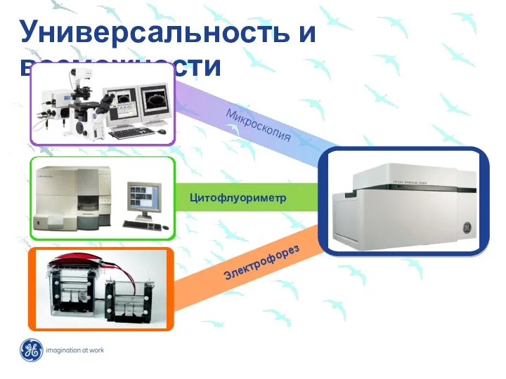 Cytometry Western blotting Универсальность и возможности Электрофорез Цитофлуориметр Микроскопия