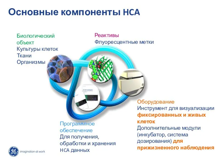 Основные компоненты HCA Реактивы Флуоресцентные метки Оборудование Инструмент для визуализации фиксированных