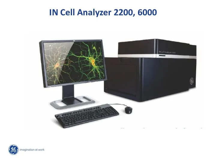 IN Cell Analyzer 2200, 6000