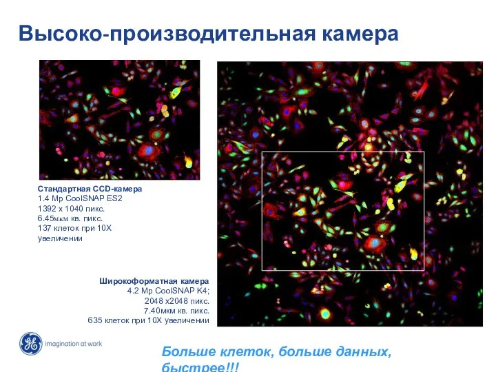 Высоко-производительная камера Стандартная CCD-камера 1.4 Mp CoolSNAP ES2 1392 x 1040