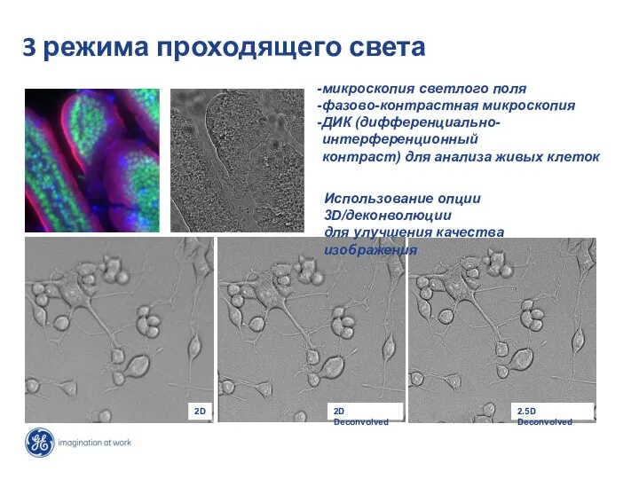 3 режима проходящего света микроскопия светлого поля фазово-контрастная микроскопия ДИК (дифференциально-интерференционный