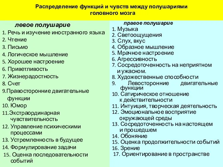 Распределение функций и чувств между полушариями головного мозга левое полушарие 1.