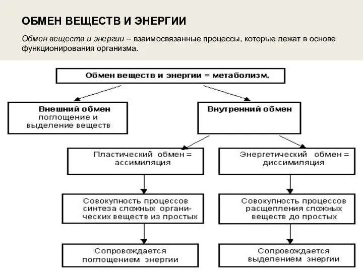 ОБМЕН ВЕЩЕСТВ И ЭНЕРГИИ Обмен веществ и энергии – взаимосвязанные процессы,