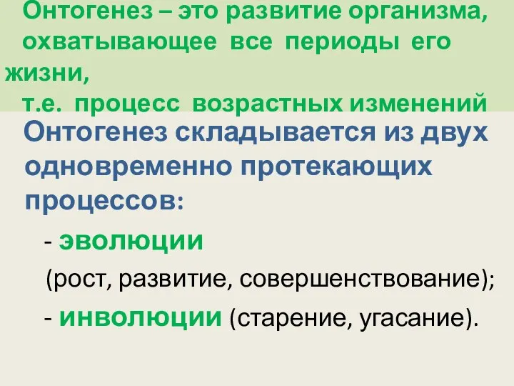 Онтогенез – это развитие организма, охватывающее все периоды его жизни, т.е.