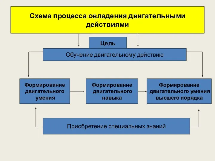 Схема процесса овладения двигательными действиями Цель Обучение двигательному действию Формирование двигательного