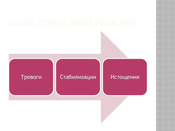 ФАЗЫ СТРЕССОВОЙ РЕАКЦИИ