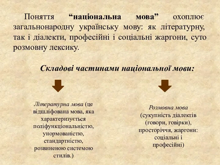 Поняття “національна мова” охоплює загальнонародну українську мову: як літературну, так і