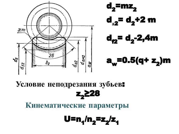 Условие неподрезания зубьев: z2≥28 d2=mz2 dа2= d2+2·m df2= d2-2,4m aw=0.5(q+ z2)m Кинематические параметры U=n1/n2=z2/z1