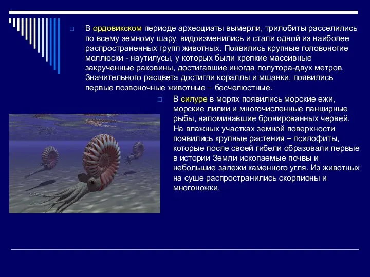 В ордовикском периоде археоциаты вымерли, трилобиты расселились по всему земному шару,