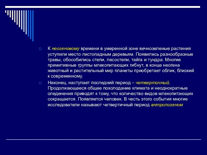 К неогеновому времени в умеренной зоне вечнозеленые растения уступили место листопадным