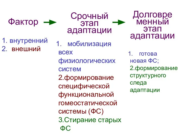 Фактор Срочный этап адаптации Долговременный этап адаптации 1. внутренний 2. внешний