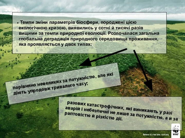 Темпи зміни параметрів біосфери, породжені цією екологічною кризою, виявились у coтнi