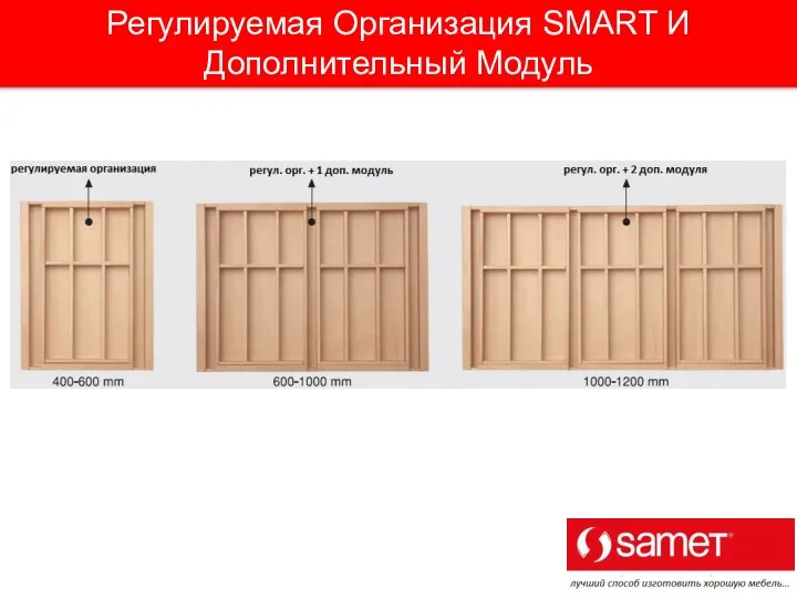 Регулируемая Организация SMART И Дополнительный Модуль