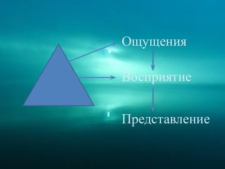 Ощущения Восприятие Представление