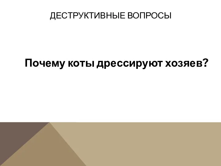 Почему коты дрессируют хозяев? ДЕСТРУКТИВНЫЕ ВОПРОСЫ