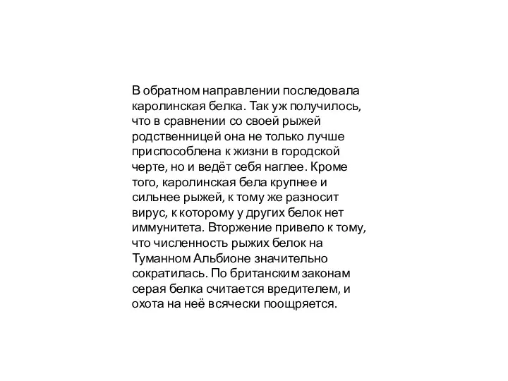 В обратном направлении последовала каролинская белка. Так уж получилось, что в