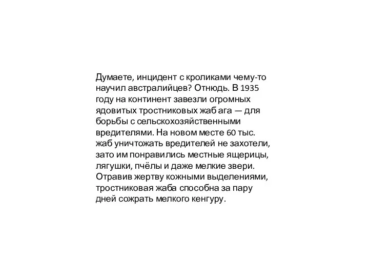 Думаете, инцидент с кроликами чему-то научил австралийцев? Отнюдь. В 1935 году