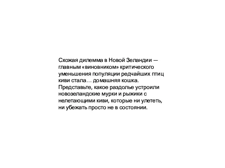 Схожая дилемма в Новой Зеландии — главным «виновником» критического уменьшения популяции