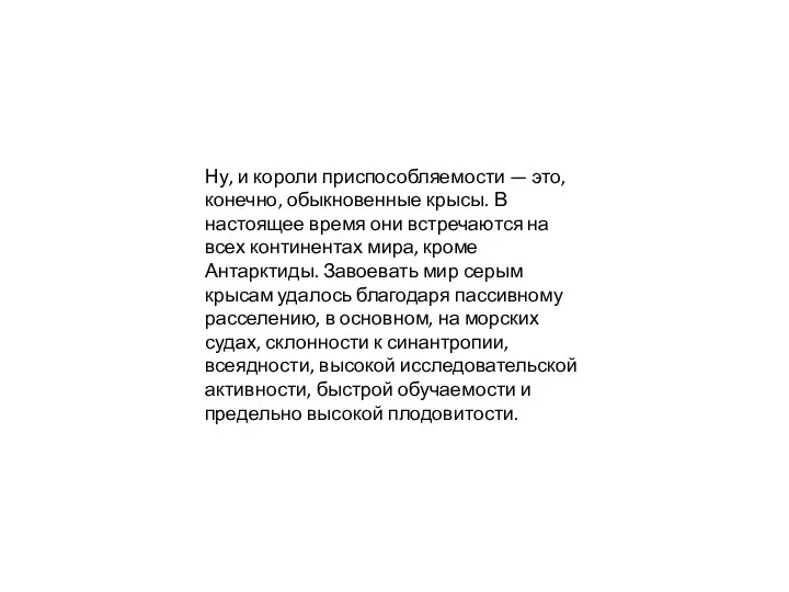 Ну, и короли приспособляемости — это, конечно, обыкновенные крысы. В настоящее