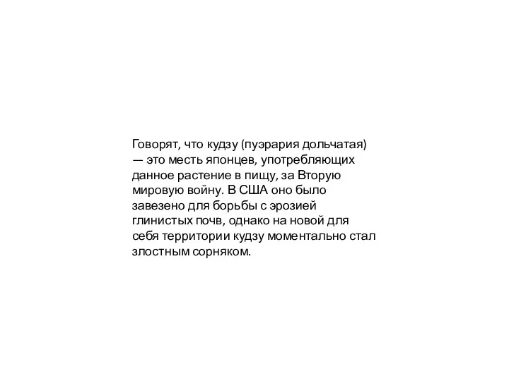 Говорят, что кудзу (пуэрария дольчатая) — это месть японцев, употребляющих данное