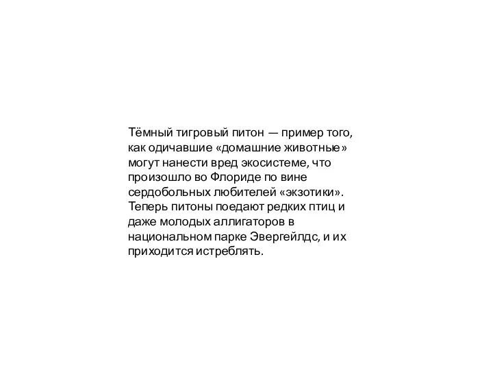 Тёмный тигровый питон — пример того, как одичавшие «домашние животные» могут