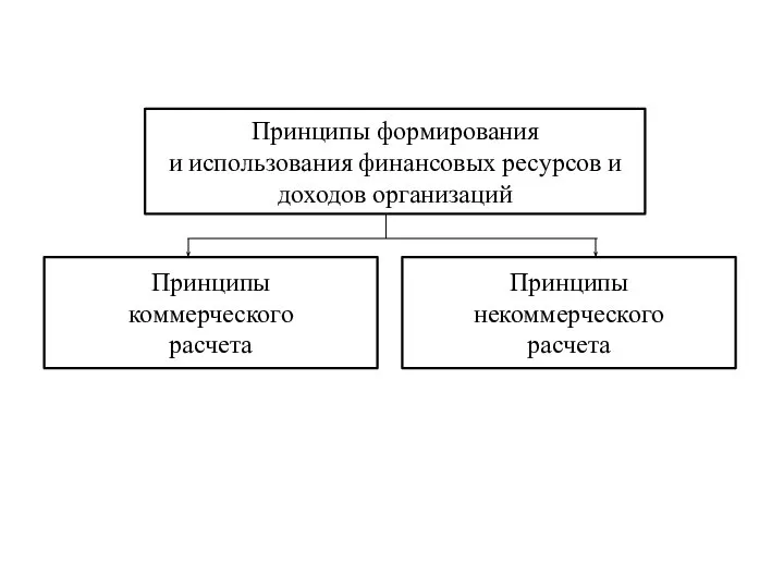 Принципы формирования и использования финансовых ресурсов и доходов организаций Принципы коммерческого расчета Принципы некоммерческого расчета